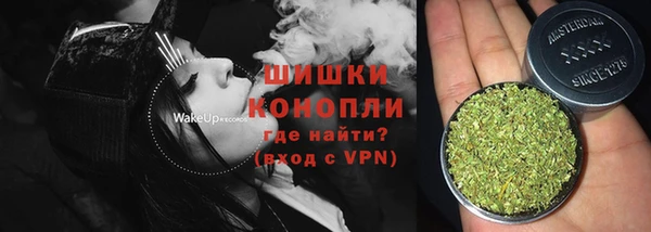 прущие грибы Алзамай