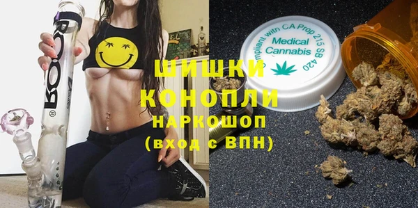 прущие грибы Алзамай
