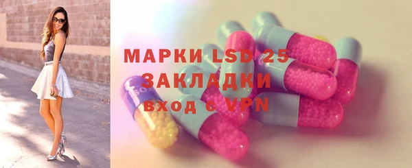прущие грибы Алзамай