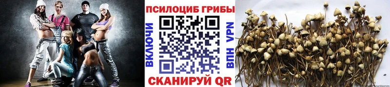 MEGA как зайти  Уфа  Галлюциногенные грибы прущие грибы  сайты даркнета формула  цена  